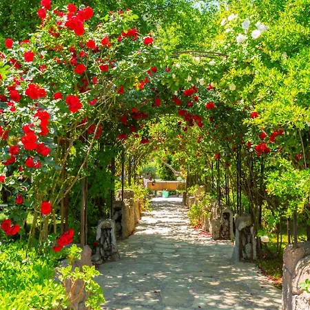 Willa Elmas Paradise Dalyan